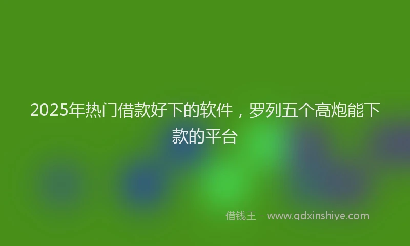 2025年热门借款好下的软件，罗列五个高炮能下款的平台