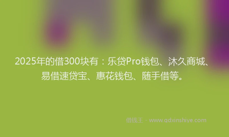 2025年的借300块有：乐贷Pro钱包、沐久商城、易借速贷宝、惠花钱包、随手借等。