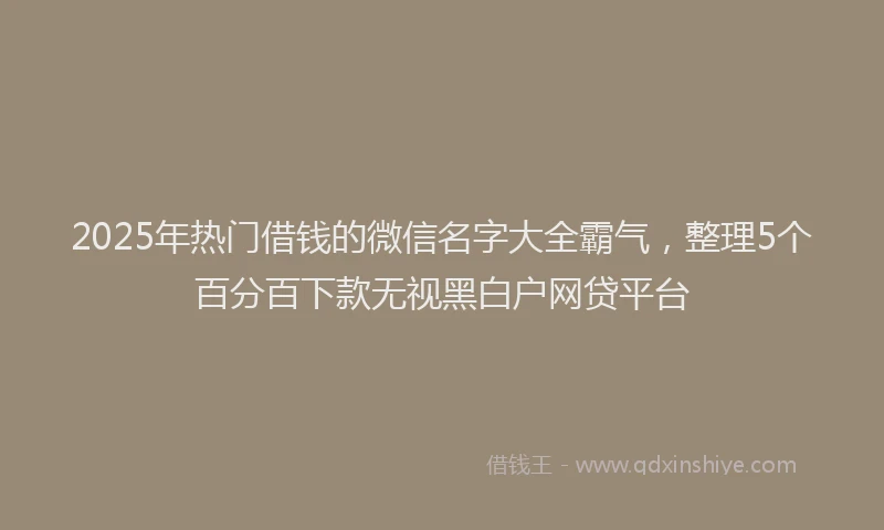 2025年热门借钱的微信名字大全霸气，整理5个百分百下款无视黑白户网贷平台