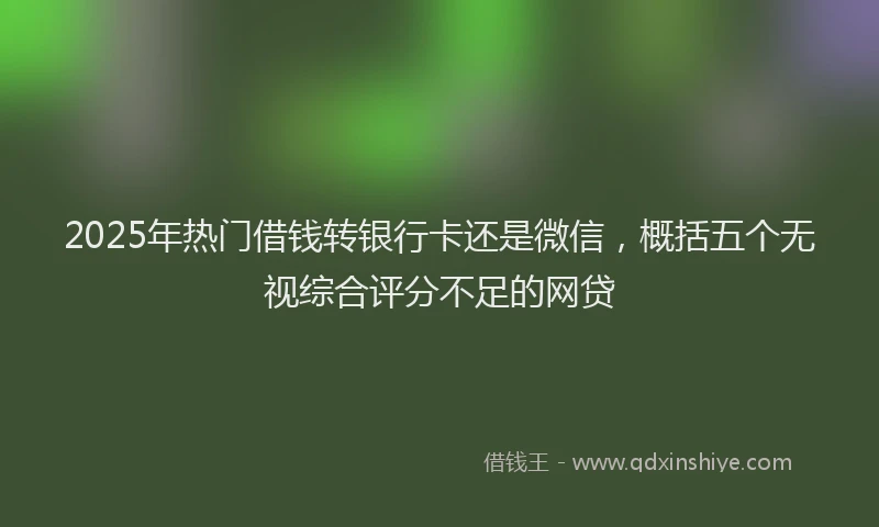 2025年热门借钱转银行卡还是微信，概括五个无视综合评分不足的网贷