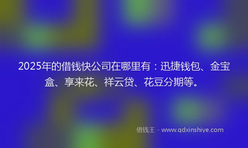 2025年的借钱快公司在哪里有：迅捷钱包、金宝盒、享来花、祥云贷、花豆分期等。