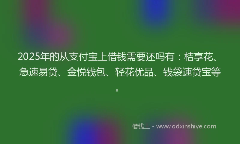 2025年的从支付宝上借钱需要还吗有：桔享花、急速易贷、金悦钱包、轻花优品、钱袋速贷宝等。