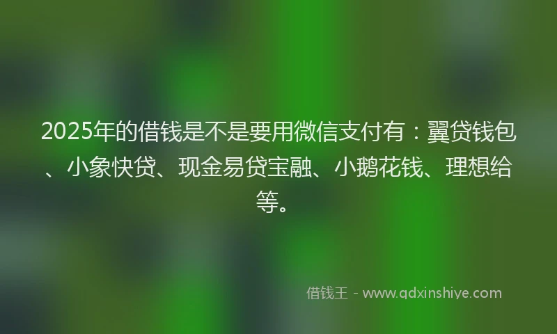2025年的借钱是不是要用微信支付有：翼贷钱包、小象快贷、现金易贷宝融、小鹅花钱、理想给等。