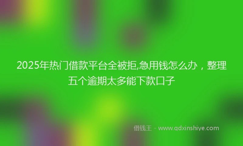 2025年热门借款平台全被拒,急用钱怎么办，整理五个逾期太多能下款口子