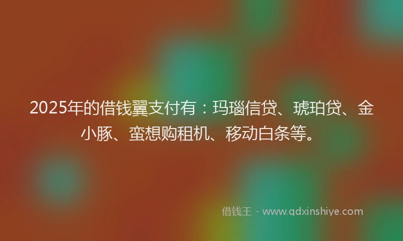 2025年的借钱翼支付有：玛瑙信贷、琥珀贷、金小豚、蛮想购租机、移动白条等。