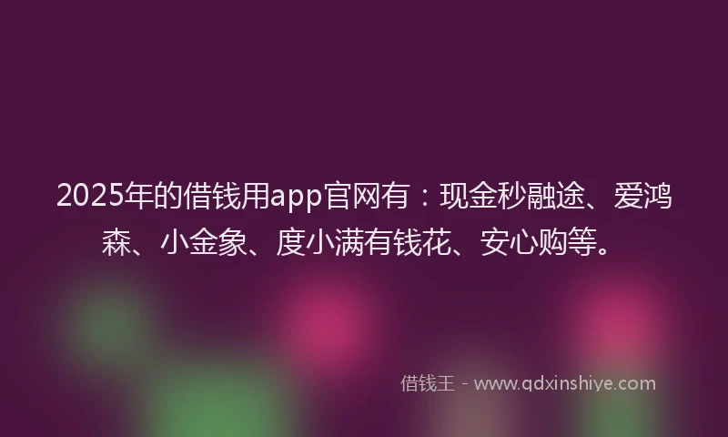 2025年的借钱用app官网有：现金秒融途、爱鸿森、小金象、度小满有钱花、安心购等。
