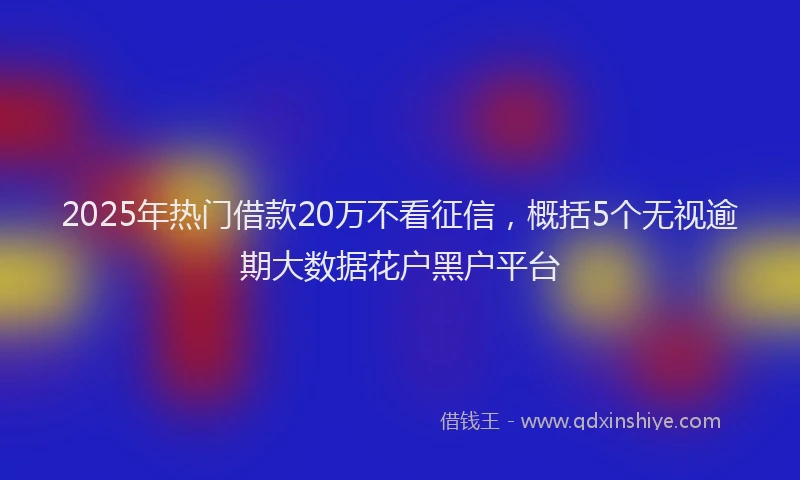 2025年热门借款20万不看征信，概括5个无视逾期大数据花户黑户平台