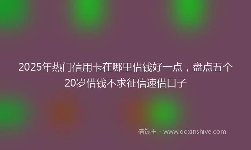 2025年热门信用卡在哪里借钱好一点，盘点五个20岁借钱不求征信速借口子