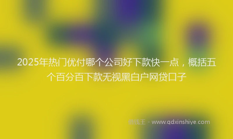 2025年热门优付哪个公司好下款快一点，概括五个百分百下款无视黑白户网贷口子