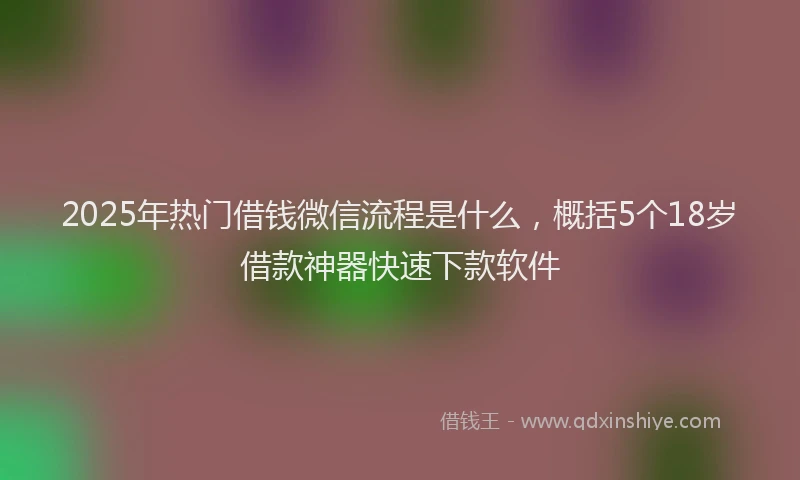 2025年热门借钱微信流程是什么，概括5个18岁借款神器快速下款软件