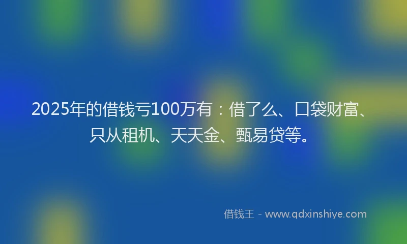 2025年的借钱亏100万有：借了么、口袋财富、只从租机、天天金、甄易贷等。