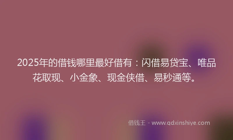 2025年的借钱哪里最好借有：闪借易贷宝、唯品花取现、小金象、现金侠借、易秒通等。