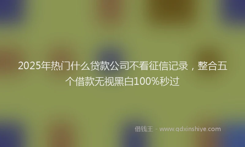 2025年热门什么贷款公司不看征信记录，整合五个借款无视黑白100%秒过