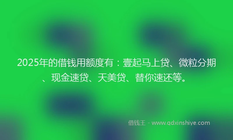 2025年的借钱用额度有：壹起马上贷、微粒分期、现金速贷、天美贷、替你速还等。