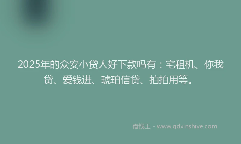 2025年的众安小贷人好下款吗有：宅租机、你我贷、爱钱进、琥珀信贷、拍拍用等。