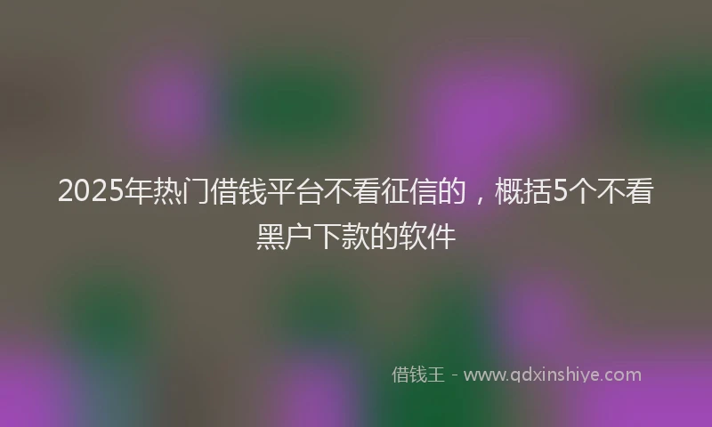 2025年热门借钱平台不看征信的，概括5个不看黑户下款的软件