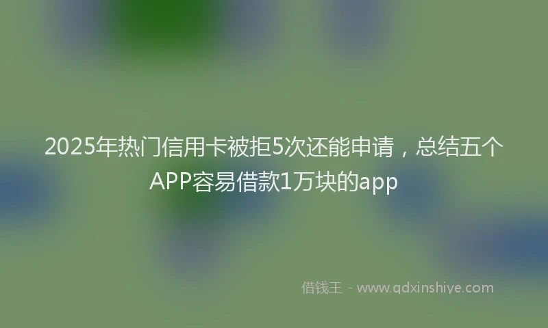 2025年热门信用卡被拒5次还能申请，总结五个APP容易借款1万块的app