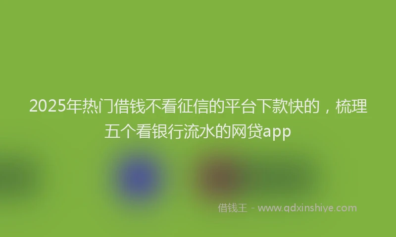 2025年热门借钱不看征信的平台下款快的，梳理五个看银行流水的网贷app