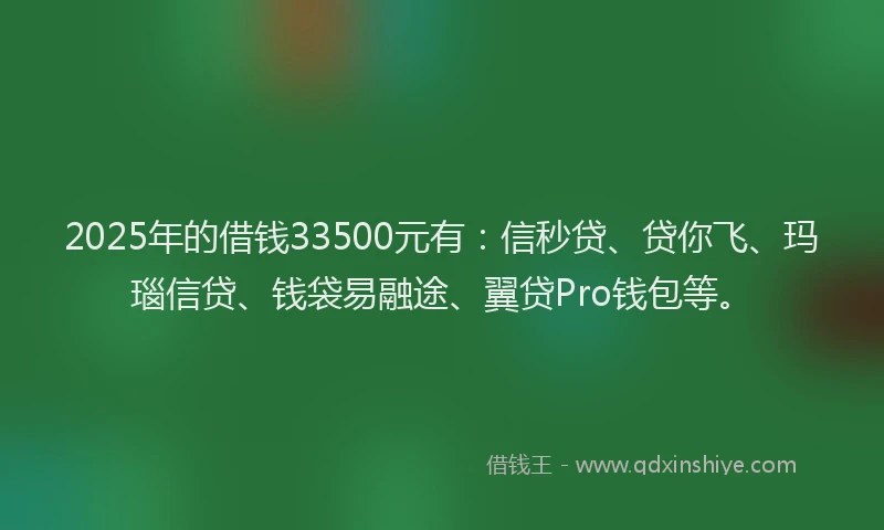 2025年的借钱33500元有：信秒贷、贷你飞、玛瑙信贷、钱袋易融途、翼贷Pro钱包等。