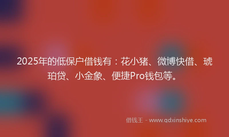 2025年的低保户借钱有：花小猪、微博快借、琥珀贷、小金象、便捷Pro钱包等。