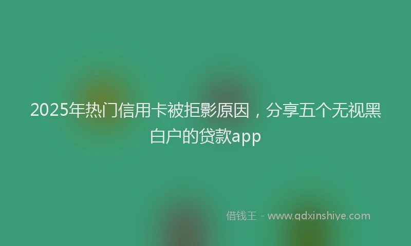 2025年热门信用卡被拒影原因，分享五个无视黑白户的贷款app