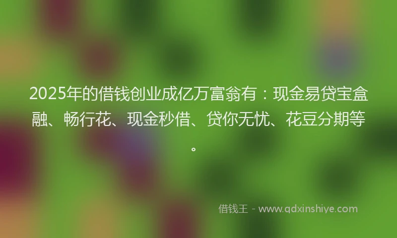 2025年的借钱创业成亿万富翁有：现金易贷宝盒融、畅行花、现金秒借、贷你无忧、花豆分期等。