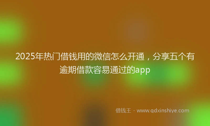 2025年热门借钱用的微信怎么开通，分享五个有逾期借款容易通过的app