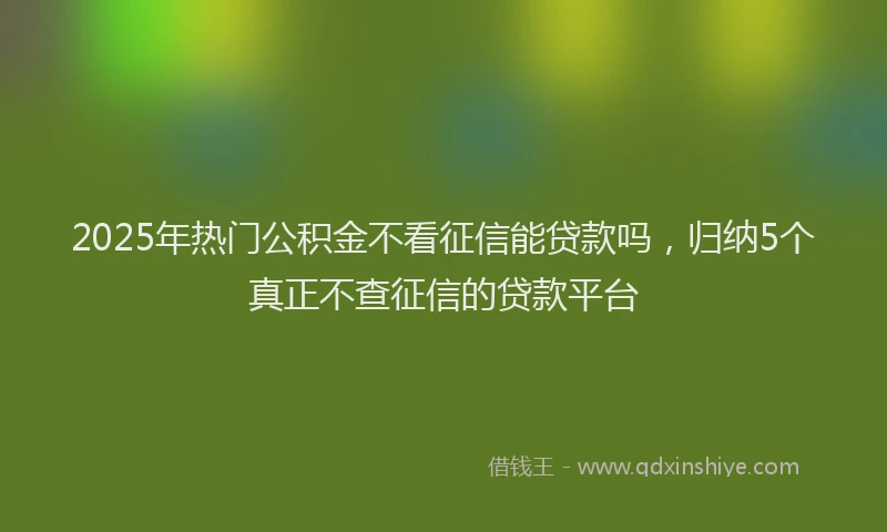 2025年热门公积金不看征信能贷款吗，归纳5个真正不查征信的贷款平台