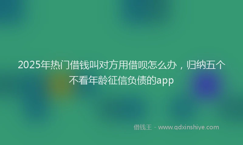 2025年热门借钱叫对方用借呗怎么办，归纳五个不看年龄征信负债的app