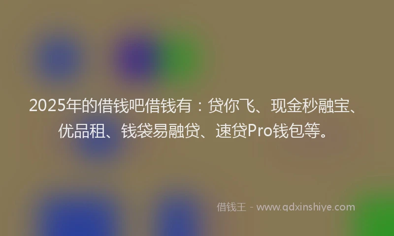 2025年的借钱吧借钱有：贷你飞、现金秒融宝、优品租、钱袋易融贷、速贷Pro钱包等。