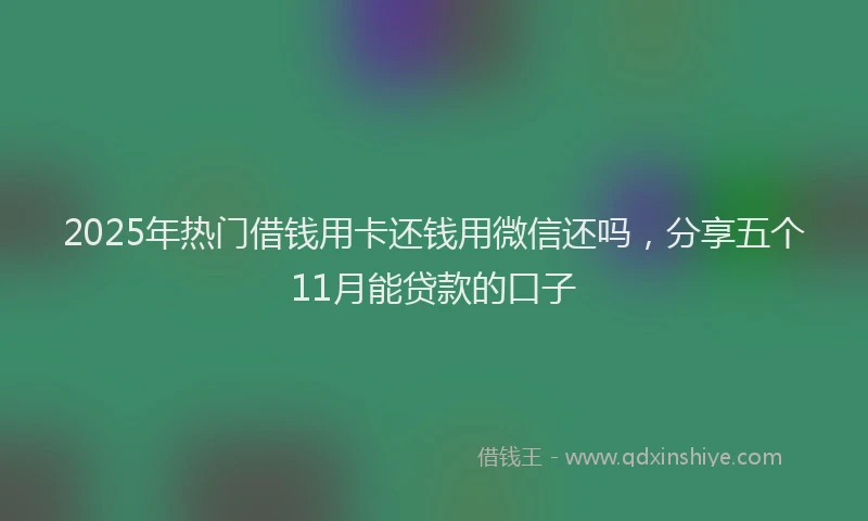 2025年热门借钱用卡还钱用微信还吗，分享五个11月能贷款的口子