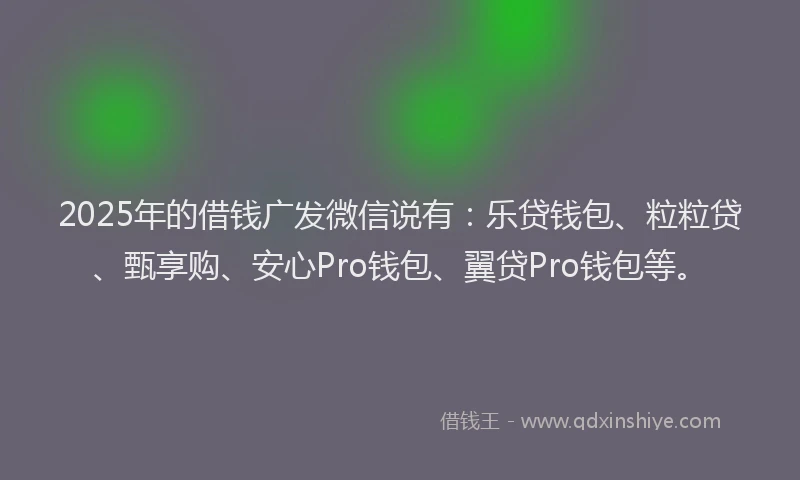 2025年的借钱广发微信说有:乐贷钱包、粒粒贷、甄享购、安心Pro钱包、翼贷Pro钱包等。