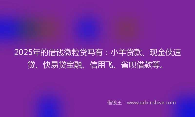 2025年的借钱微粒贷吗有：小羊贷款、现金侠速贷、快易贷宝融、信用飞、省呗借款等。