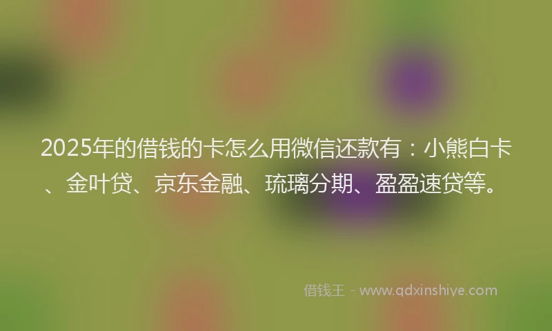 2025年的借钱的卡怎么用微信还款有：小熊白卡、金叶贷、京东金融、琉璃分期、盈盈速贷等。