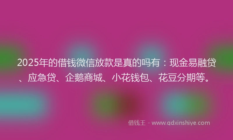 2025年的借钱微信放款是真的吗有：现金易融贷、应急贷、企鹅商城、小花钱包、花豆分期等。