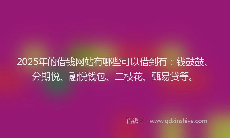 2025年的借钱网站有哪些可以借到有：钱鼓鼓、分期悦、融悦钱包、三枝花、甄易贷等。
