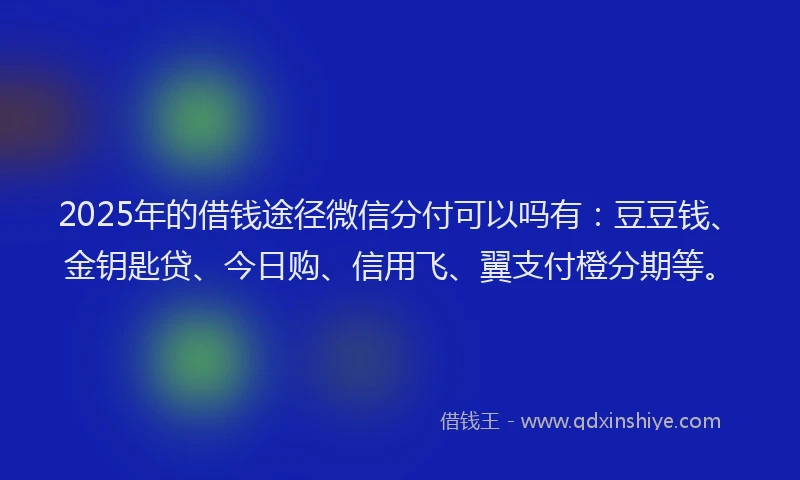 2025年的借钱途径微信分付可以吗有：豆豆钱、金钥匙贷、今日购、信用飞、翼支付橙分期等。