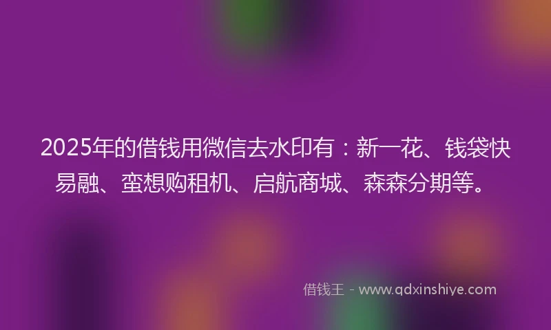 2025年的借钱用微信去水印有：新一花、钱袋快易融、蛮想购租机、启航商城、森森分期等。