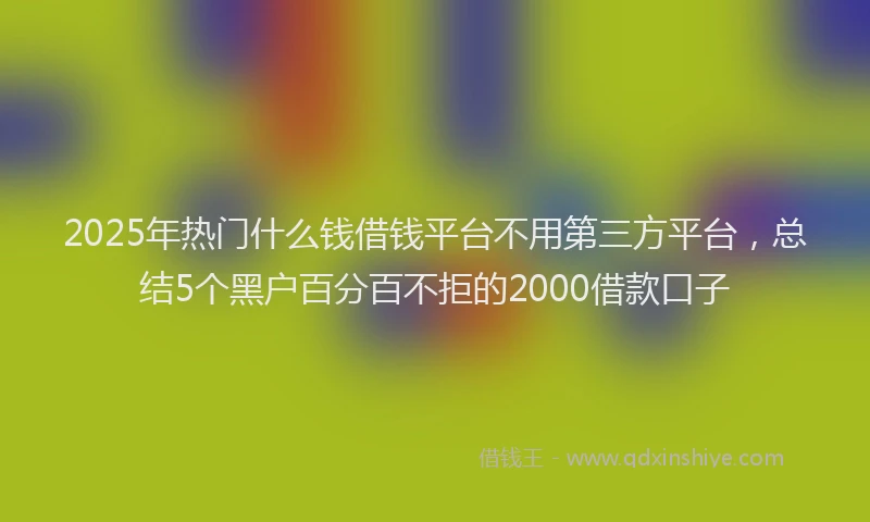 2025年热门什么钱借钱平台不用第三方平台，总结5个黑户百分百不拒的2000借款口子