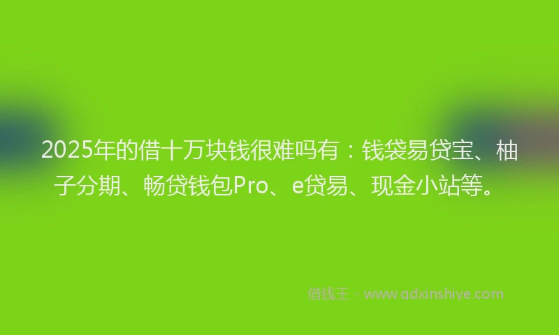 2025年的借十万块钱很难吗有：钱袋易贷宝、柚子分期、畅贷钱包Pro、e贷易、现金小站等。