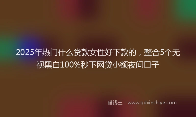 2025年热门什么贷款女性好下款的，整合5个无视黑白100%秒下网贷小额夜间口子