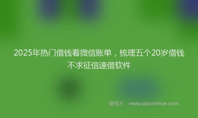 2025年热门借钱看微信账单，梳理五个20岁借钱不求征信速借软件