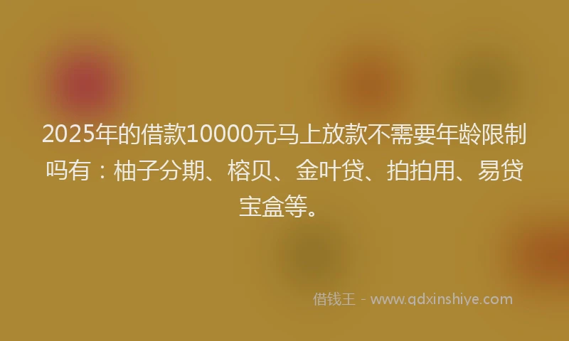 2025年的借款10000元马上放款不需要年龄限制吗有：柚子分期、榕贝、金叶贷、拍拍用、易贷宝盒等。