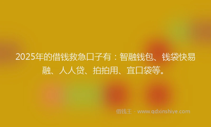 2025年的借钱救急口子有：智融钱包、钱袋快易融、人人贷、拍拍用、宜口袋等。