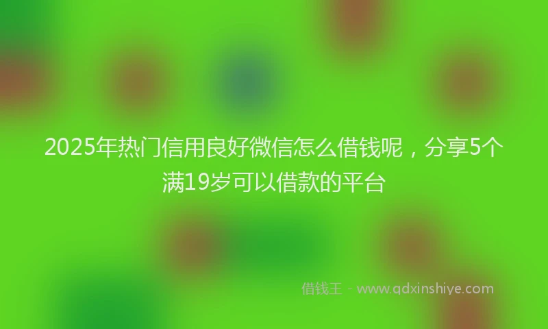 2025年热门信用良好微信怎么借钱呢，分享5个满19岁可以借款的平台