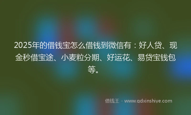 2025年的借钱宝怎么借钱到微信有：好人贷、现金秒借宝途、小麦粒分期、好运花、易贷宝钱包等。
