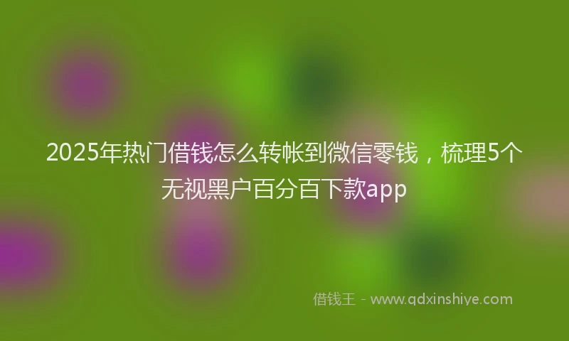 2025年热门借钱怎么转帐到微信零钱，梳理5个无视黑户百分百下款app