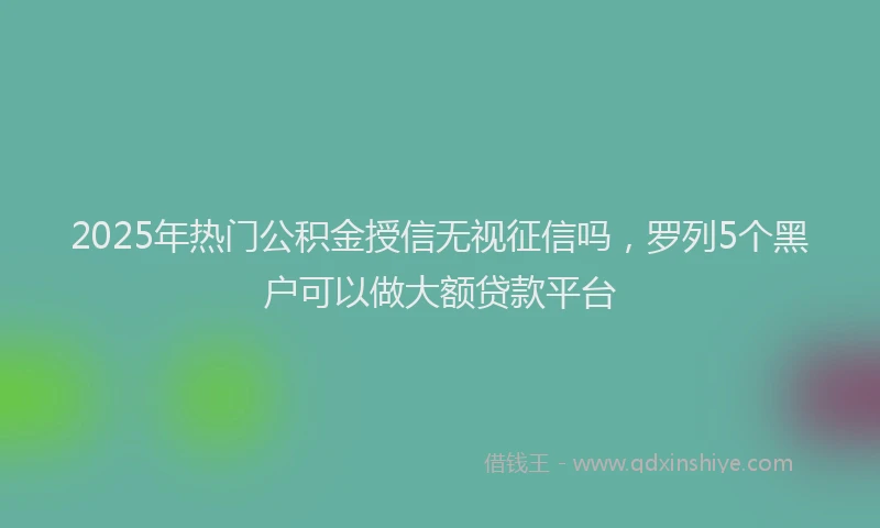 2025年热门公积金授信无视征信吗，罗列5个黑户可以做大额贷款平台