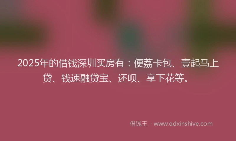 2025年的借钱深圳买房有：便荔卡包、壹起马上贷、钱速融贷宝、还呗、享下花等。