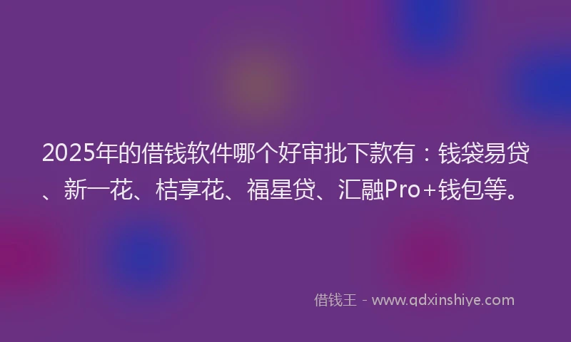 2025年的借钱软件哪个好审批下款有：钱袋易贷、新一花、桔享花、福星贷、汇融Pro+钱包等。